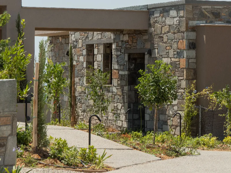 Mediterranean garden with olive trees surrounding the suites, Nikiti